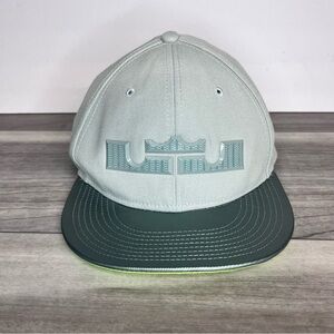 Nike True LeBron James King Crown SnapBack Hat Gray Volt ‘14 Signature Cap‎